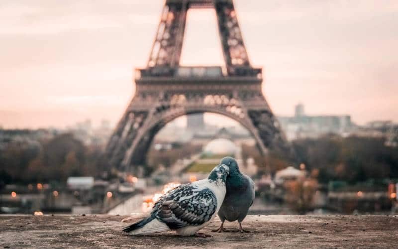 浪漫巴黎人文行摄之旅